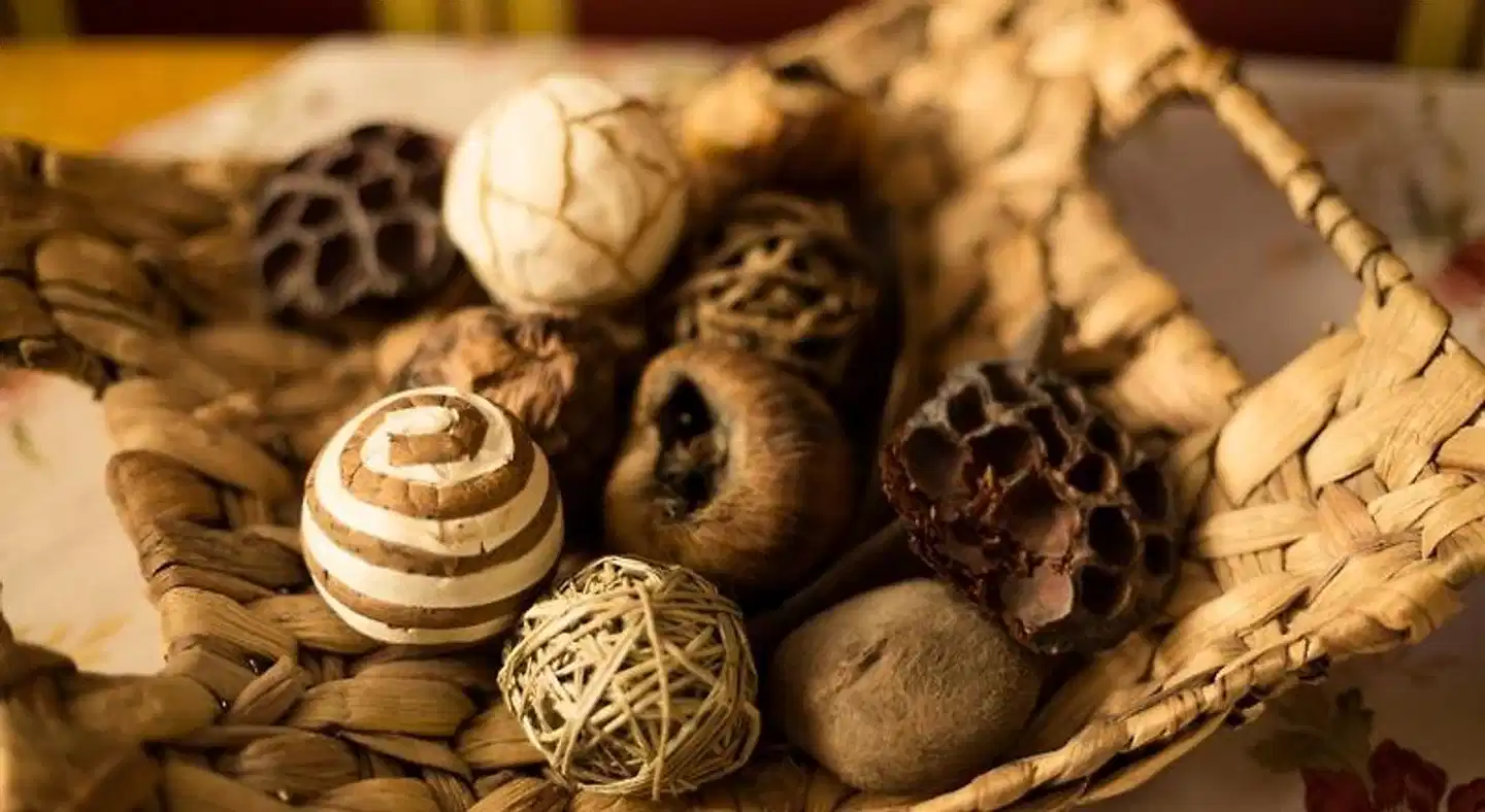 Hotel Haus Müller Tiere