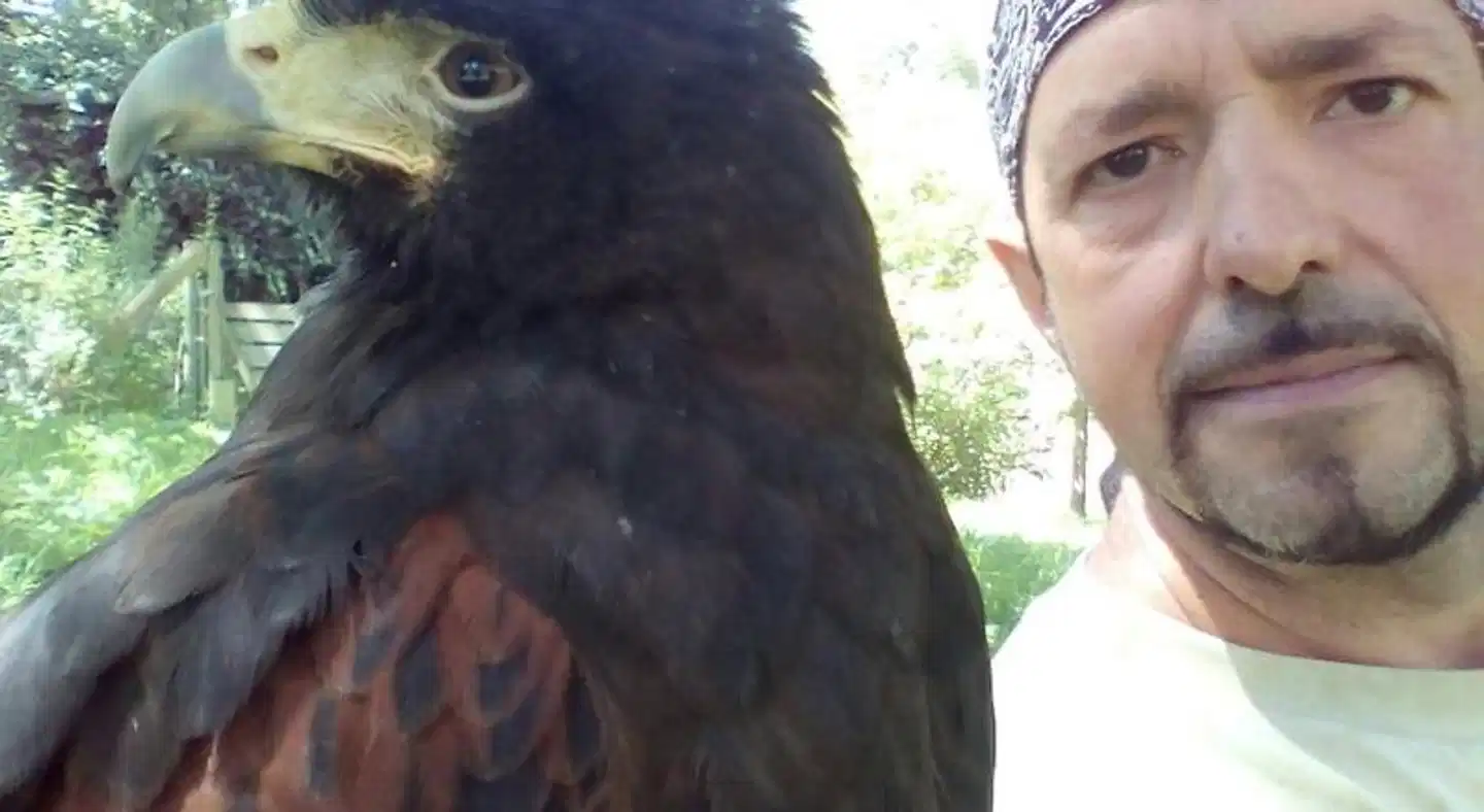 El Escondite del Miera Tiere