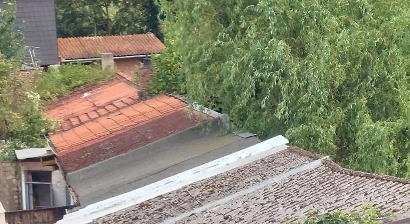 Zum Roten Tore Terrasse