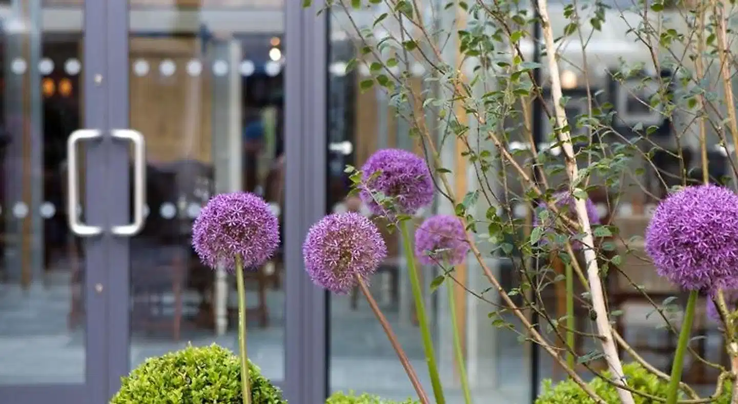 The Three Crowns Garten