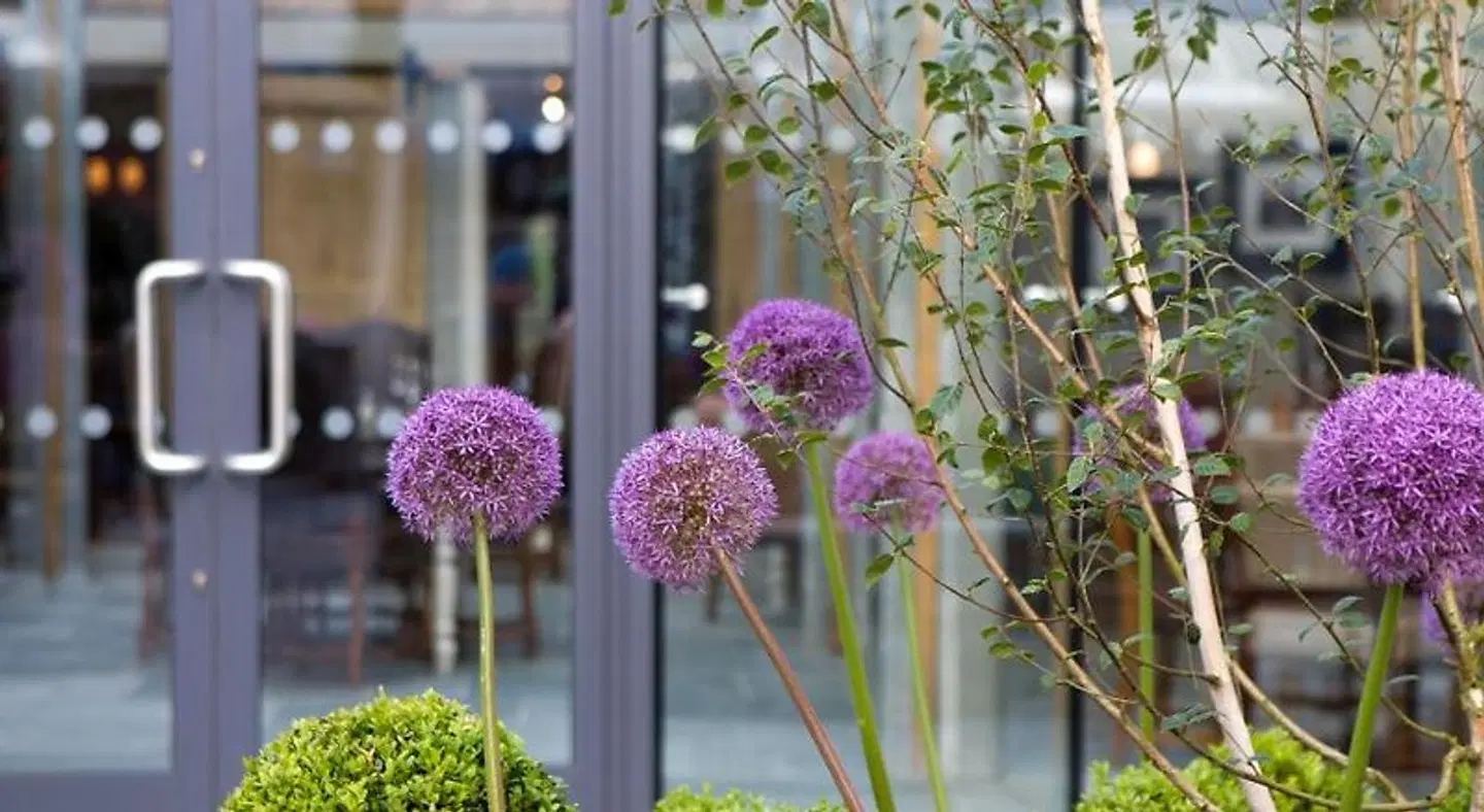 The Three Crowns Garten