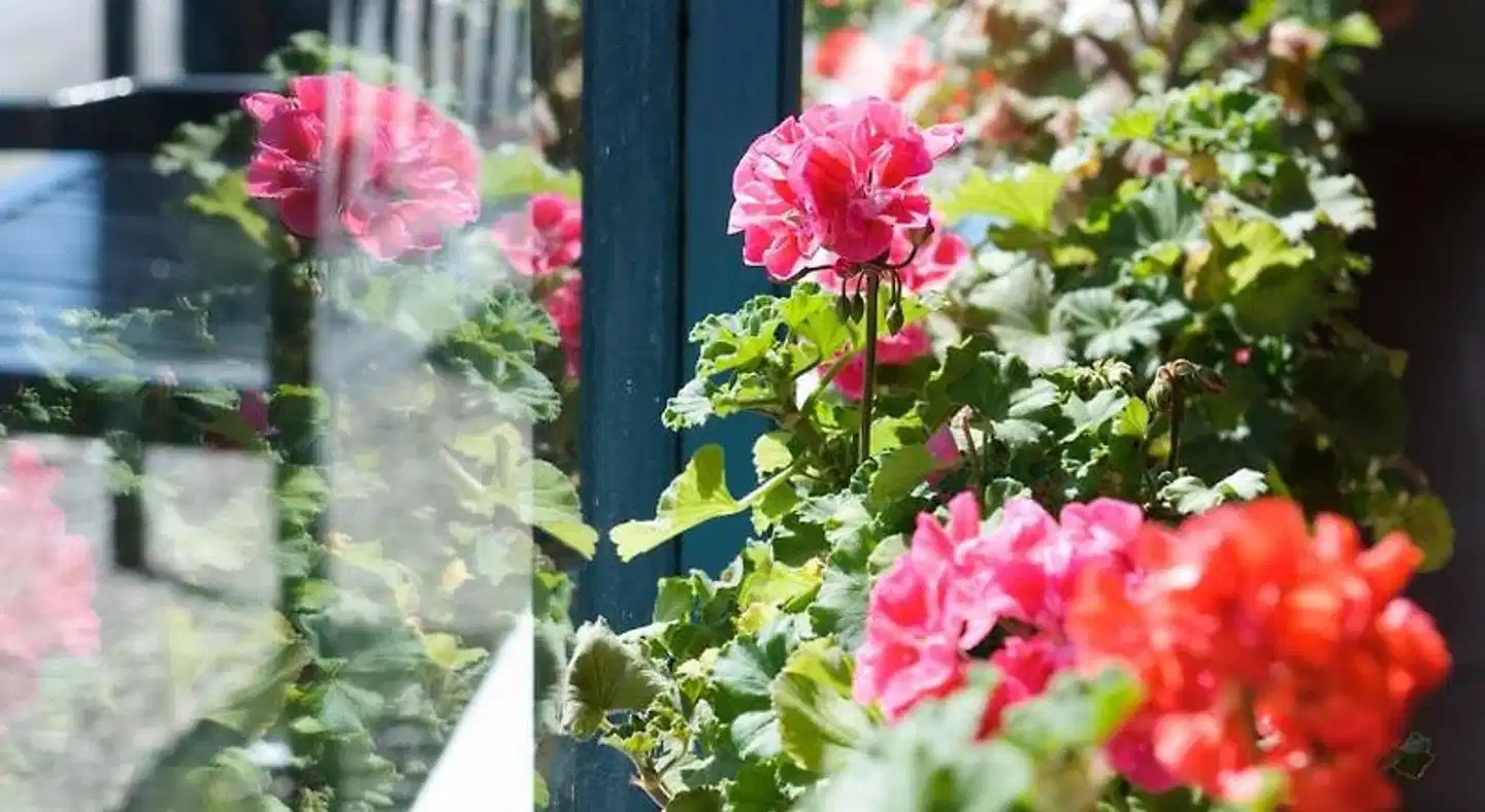 Doonmore Hotel Landschaft