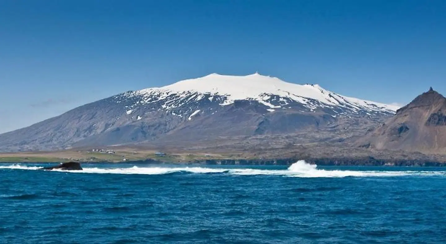 Arnarstapi Hotel LANDSCAPE