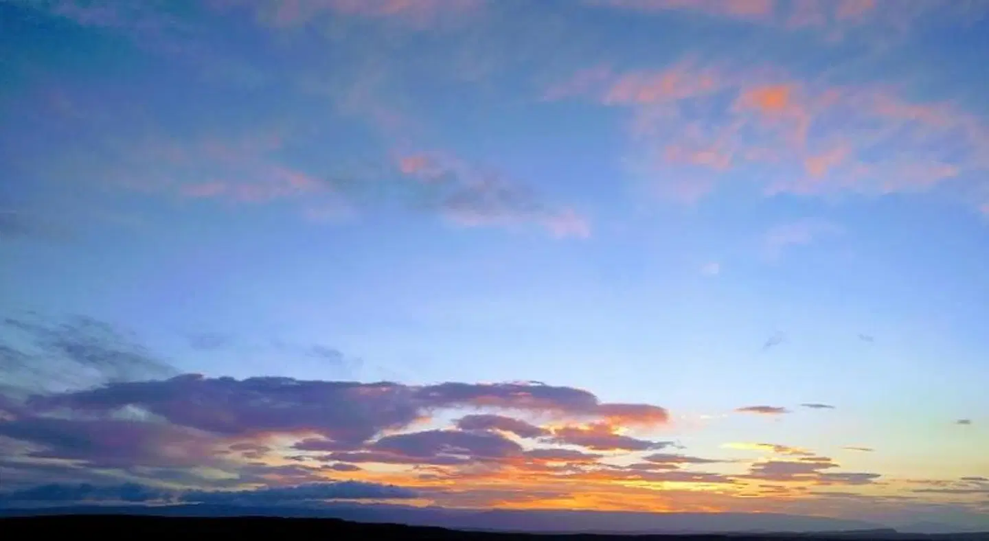 Hjartarstadir Guesthouse LANDSCAPE