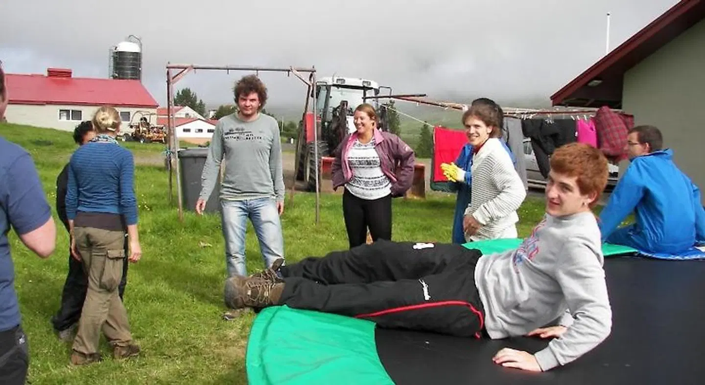Skorrahestar SPORTS_AND_LEISURE