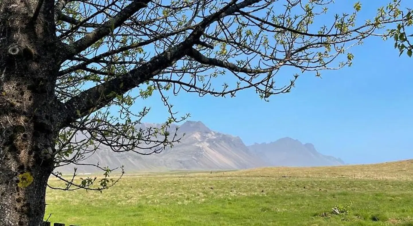 Haukaberg House LANDSCAPE