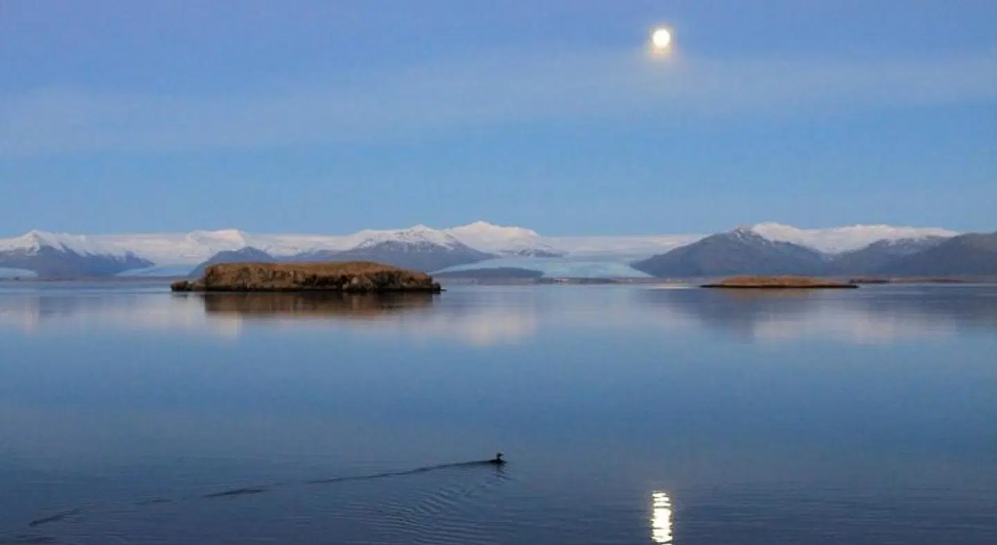 Höfn Inn Guesthouse LANDSCAPE