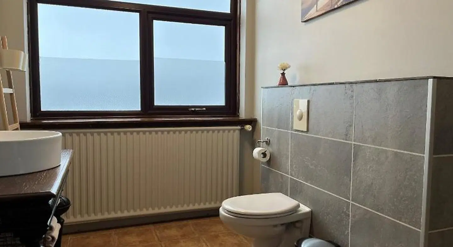 Farmhotel Efstidalur Badezimmer