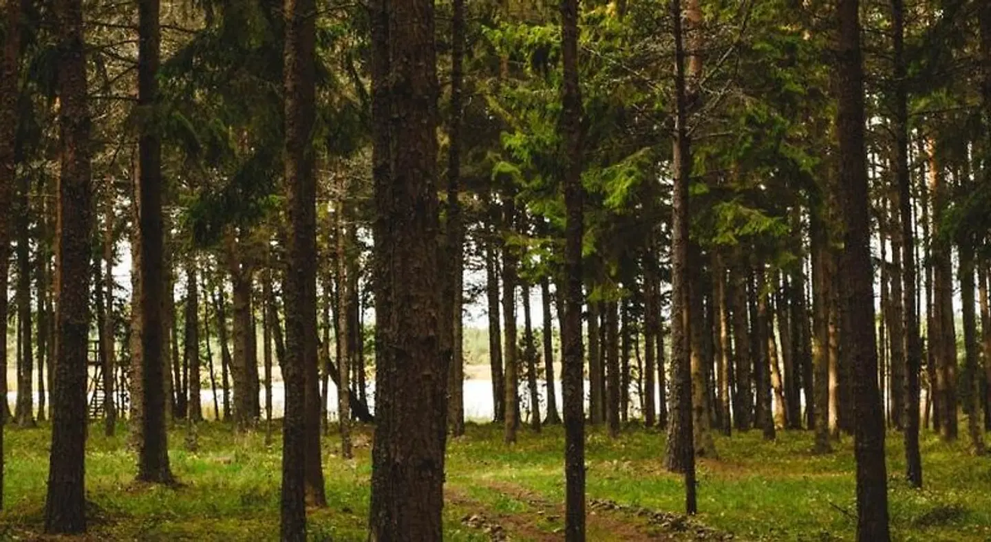 Ungru Guesthouse LANDSCAPE