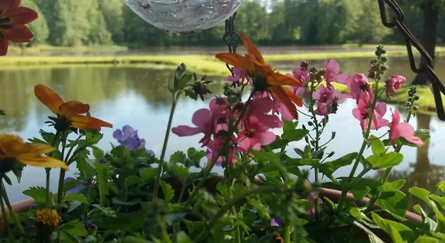 Gazd' Vandens Mal'nas Garten