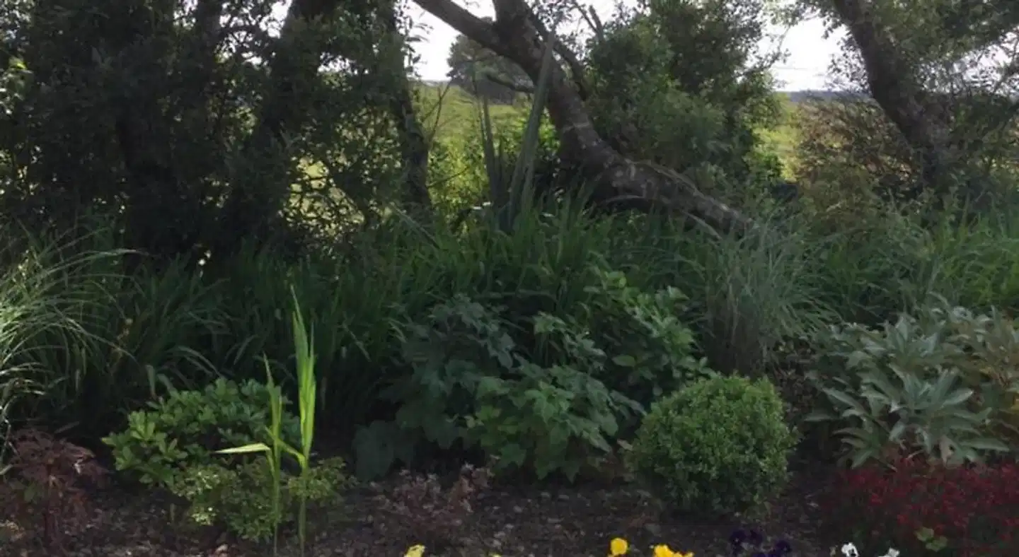 Tullybeggs B&B Landschaft