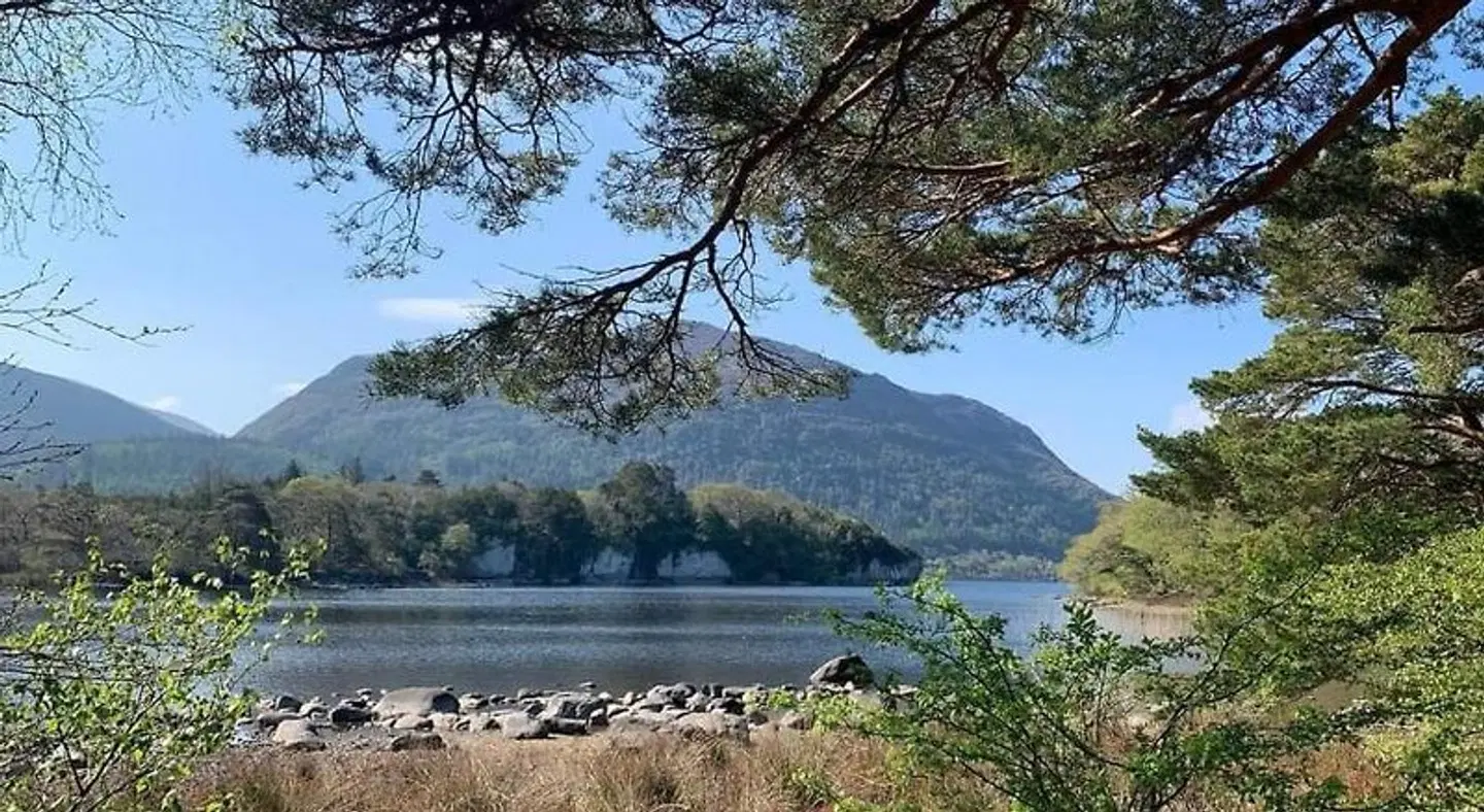 Green Acres Guesthouse LANDSCAPE