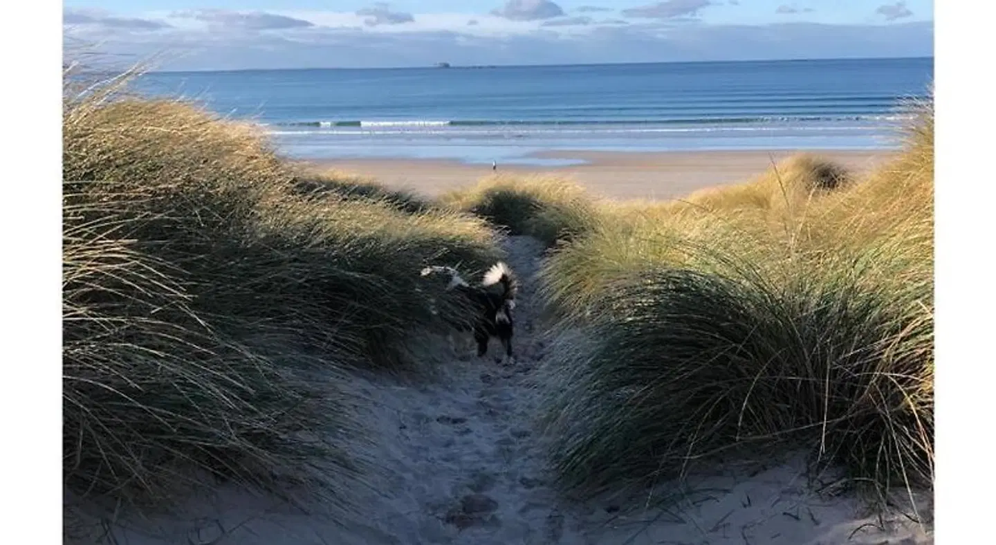 Barrow Harbour studio apartment Strand