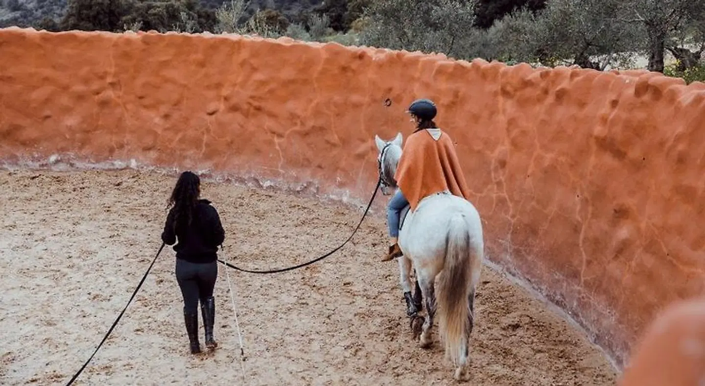 La Donaira Tiere
