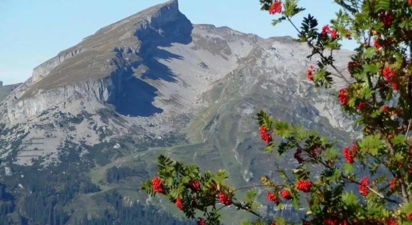 Riezler Hof Landschaft