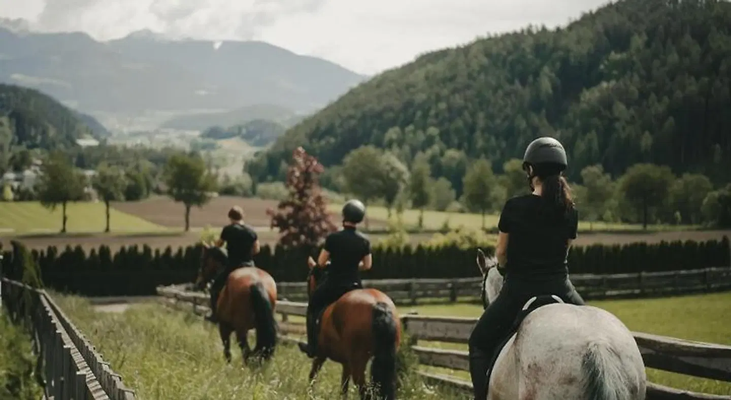 Lanerhof Tiere
