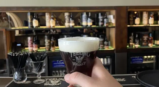 Radisson Blu Royal Hotel, Dublin Bar