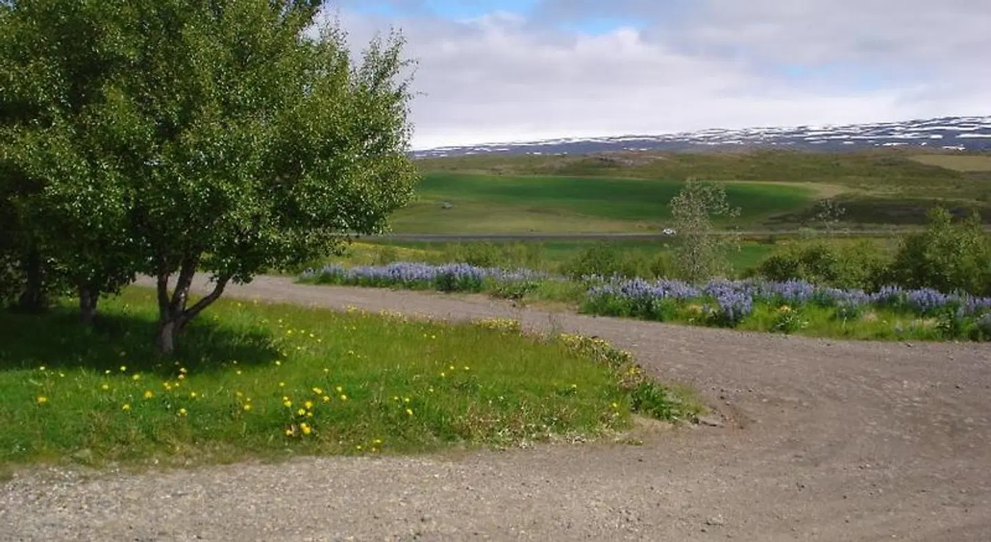 Vinland Guesthouse LANDSCAPE