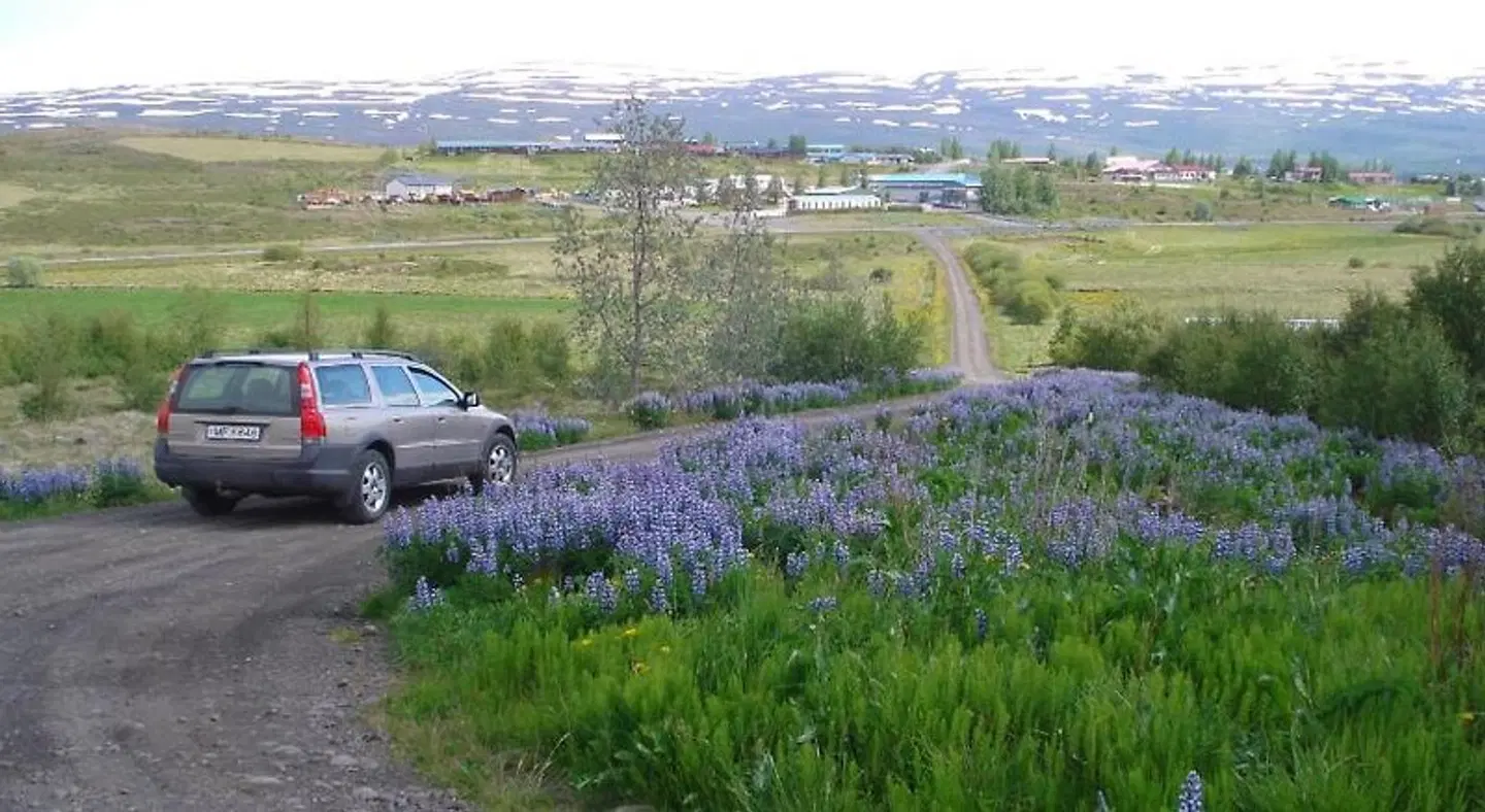 Vinland Guesthouse LANDSCAPE