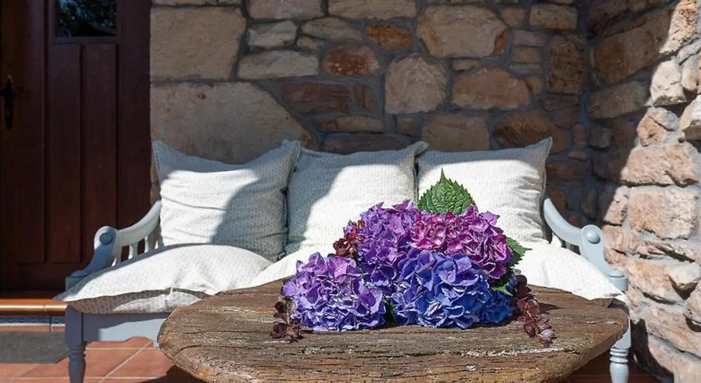 Cabana El Currillo Tiere