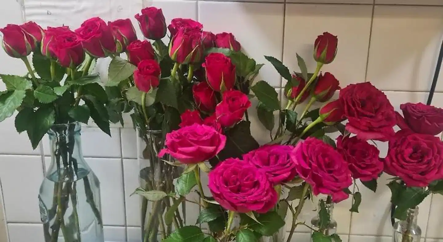 London Lodge Hotel Lobby