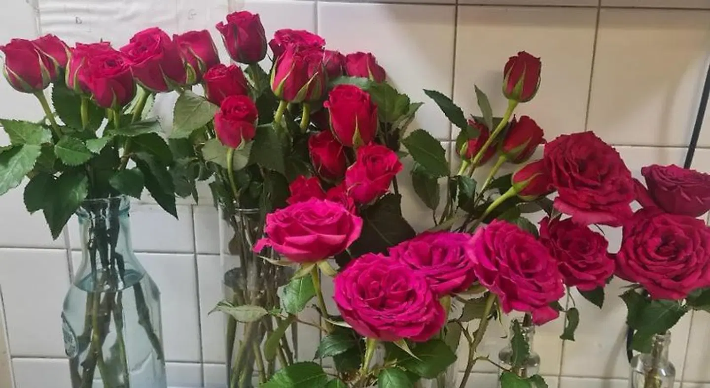 London Lodge Hotel LOUNGE_LOBBY