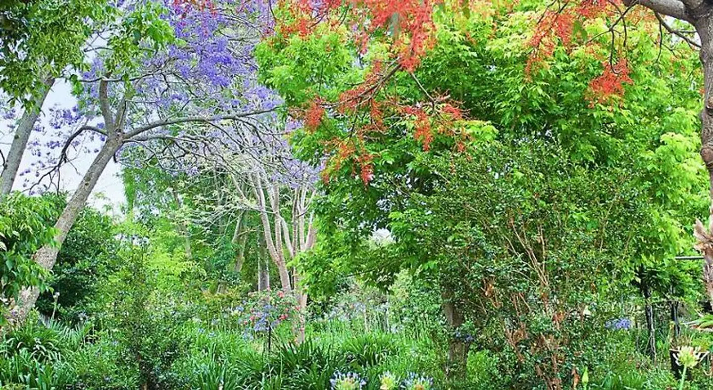Bonville Lodge Bed & Breakfast Garten
