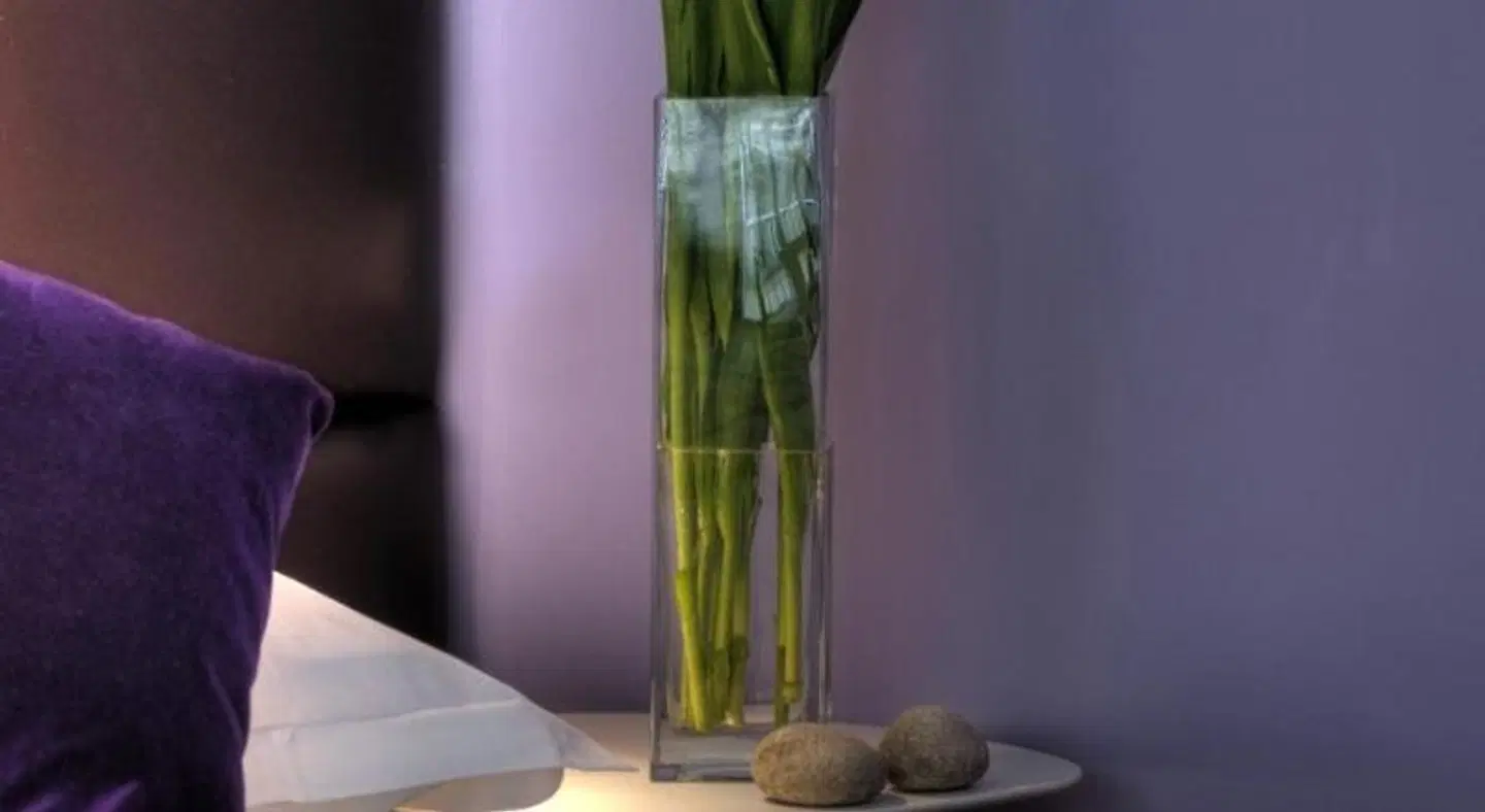 Mercure Nice Promenade des Anglais Hotel HEALTH_BEAUTY