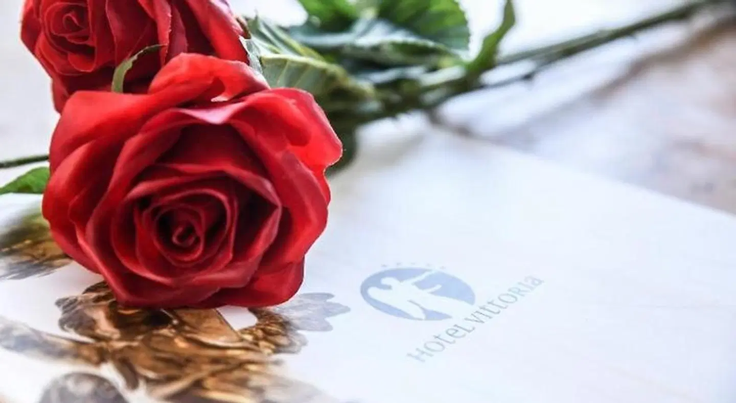 Vittoria HEALTH_BEAUTY