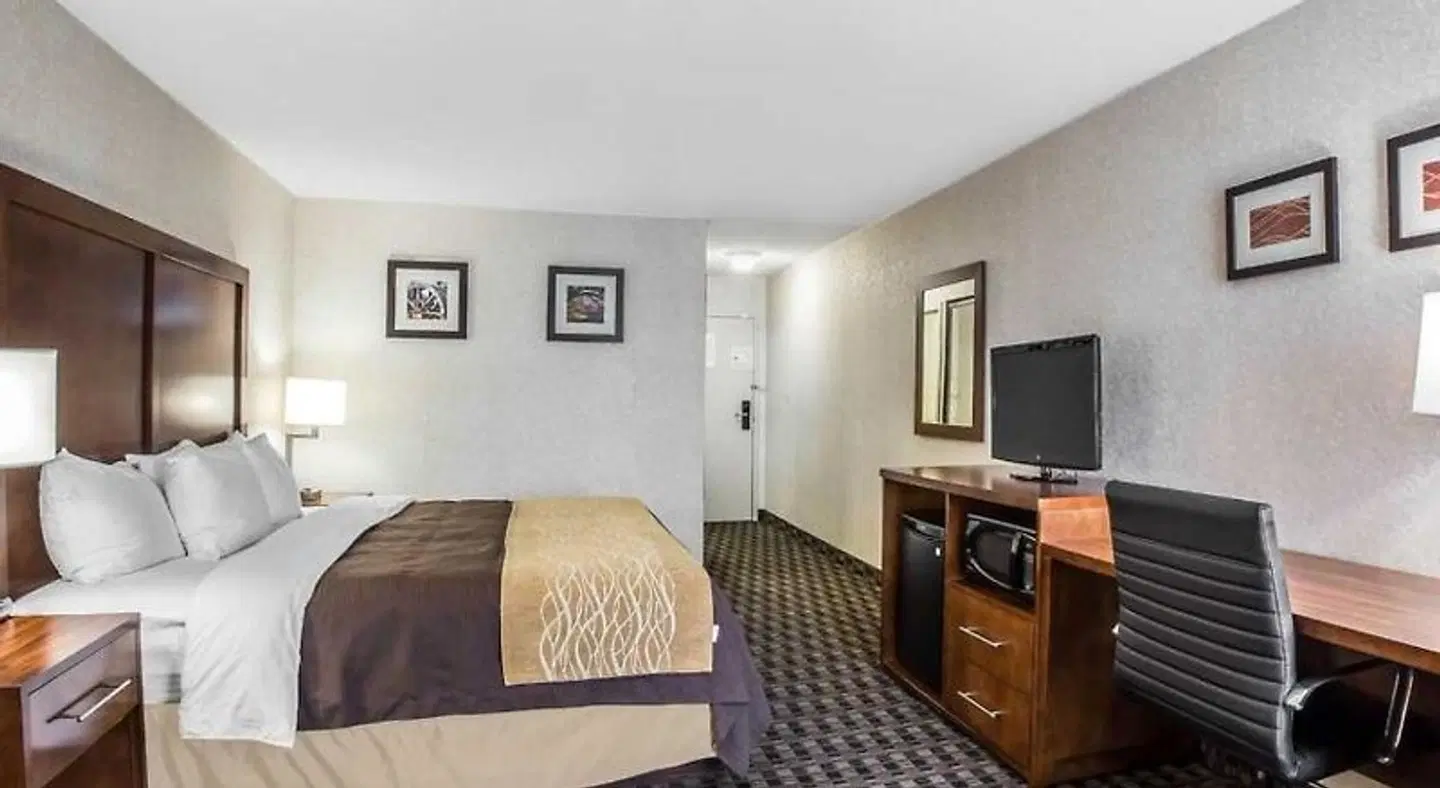 Best Western Plus Greenville I-385 Inn & Suites ROOM_EXAMPLE