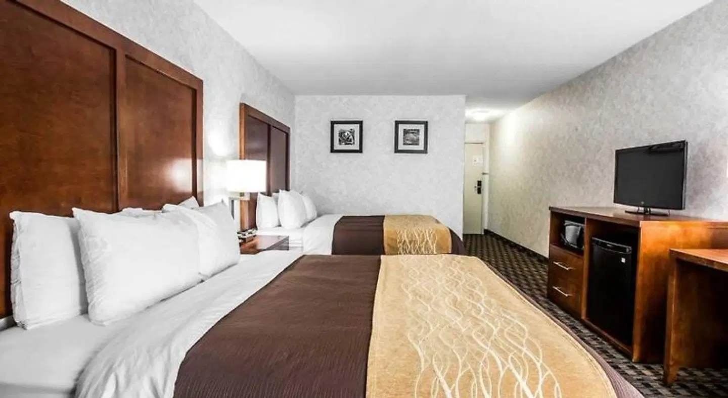 Best Western Plus Greenville I-385 Inn & Suites ROOM_EXAMPLE