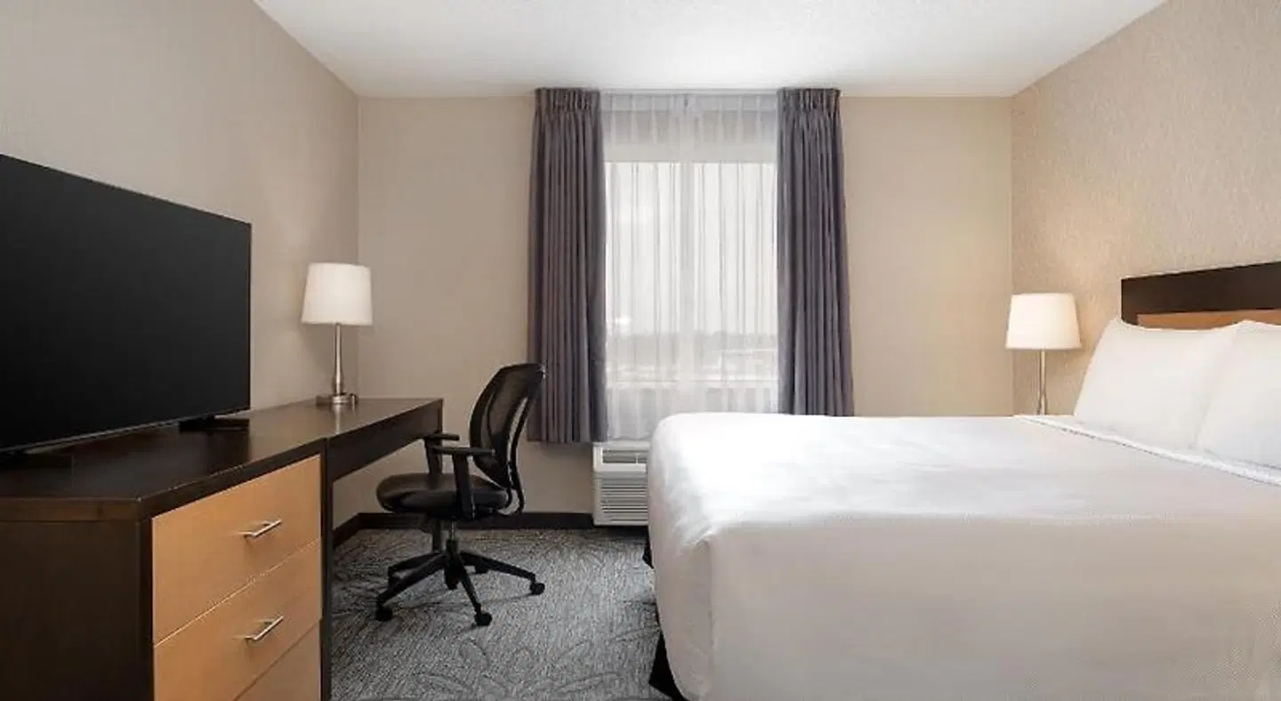 Quality Inn & Suites Kingston ROOM_EXAMPLE