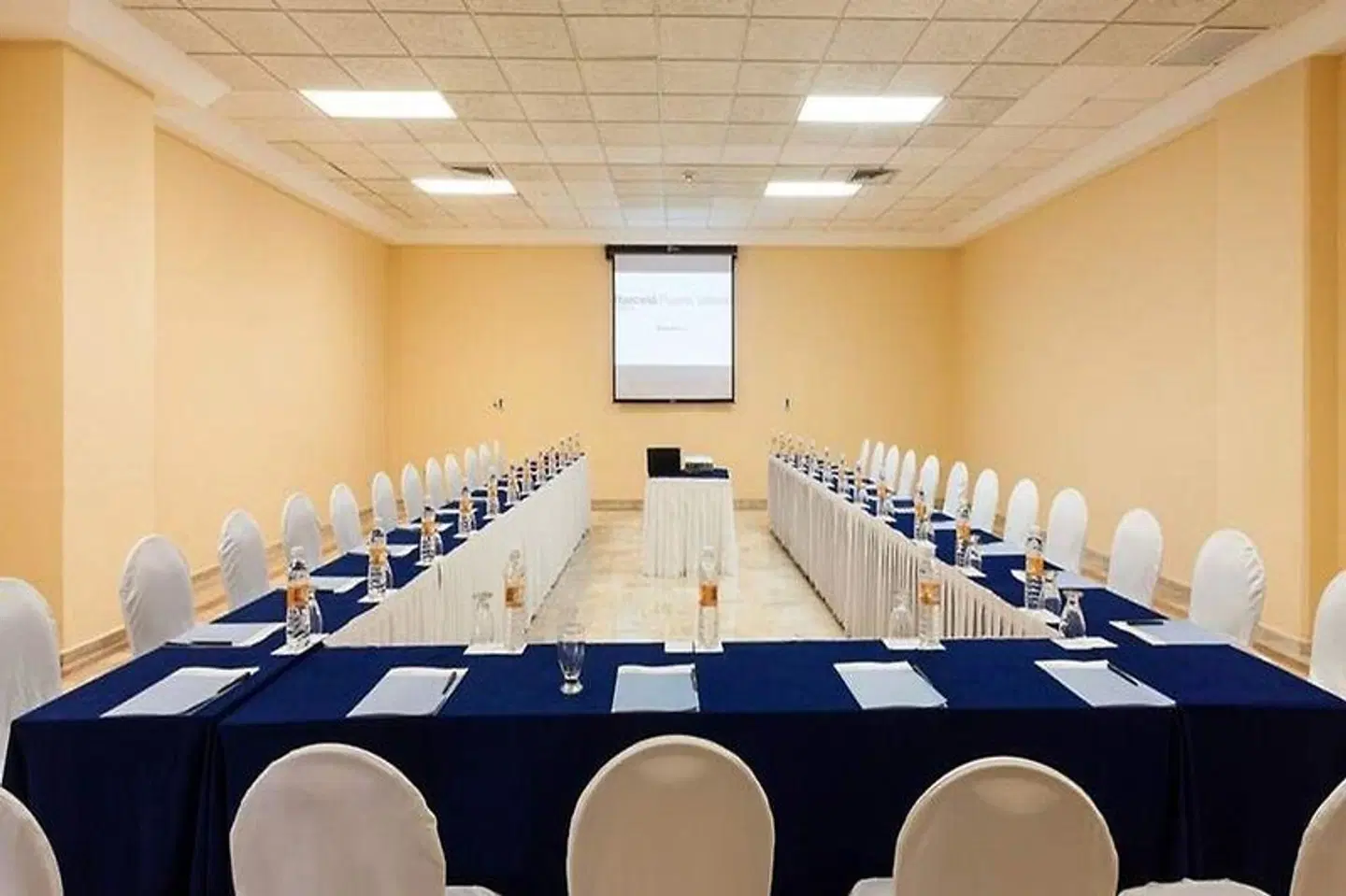 Barcelo Puerto Vallarta Konferenz