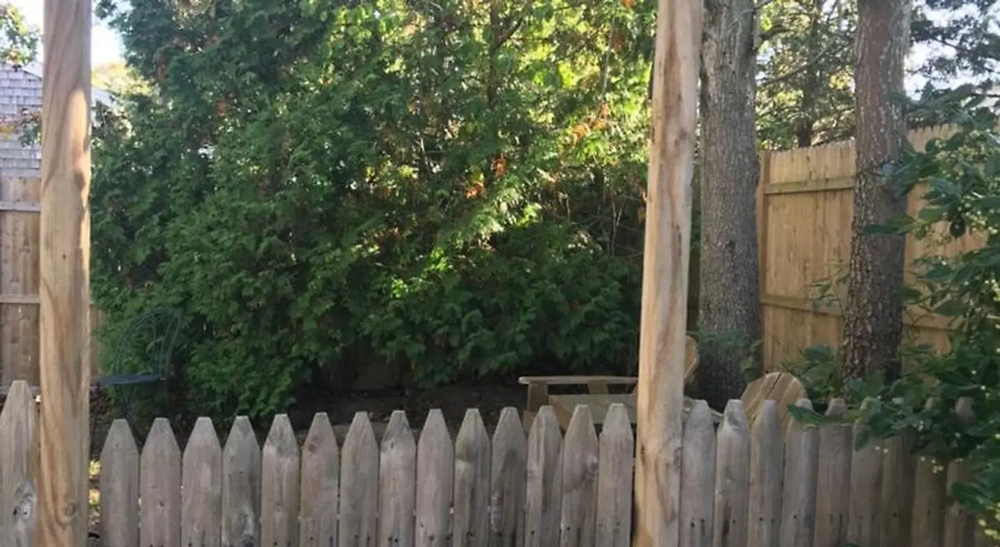 Cape Cod Veranda LANDSCAPE