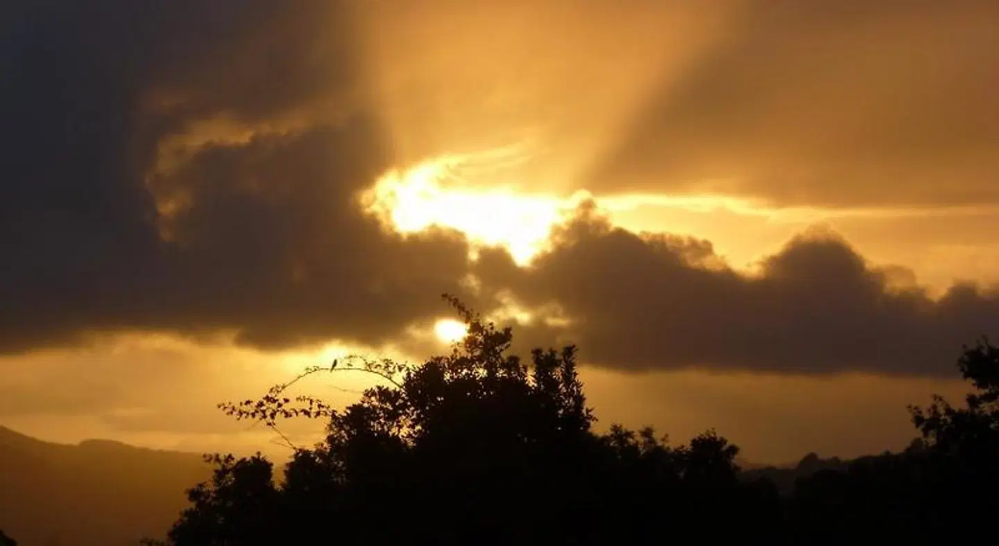 Candlewood Lodge LANDSCAPE
