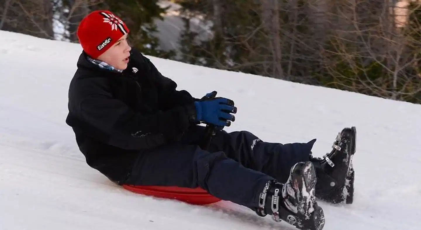 Landhotel Post Tiere