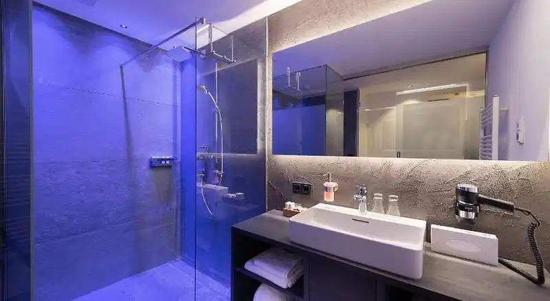 Hotel Alpina Rauris – Hotelfoto
