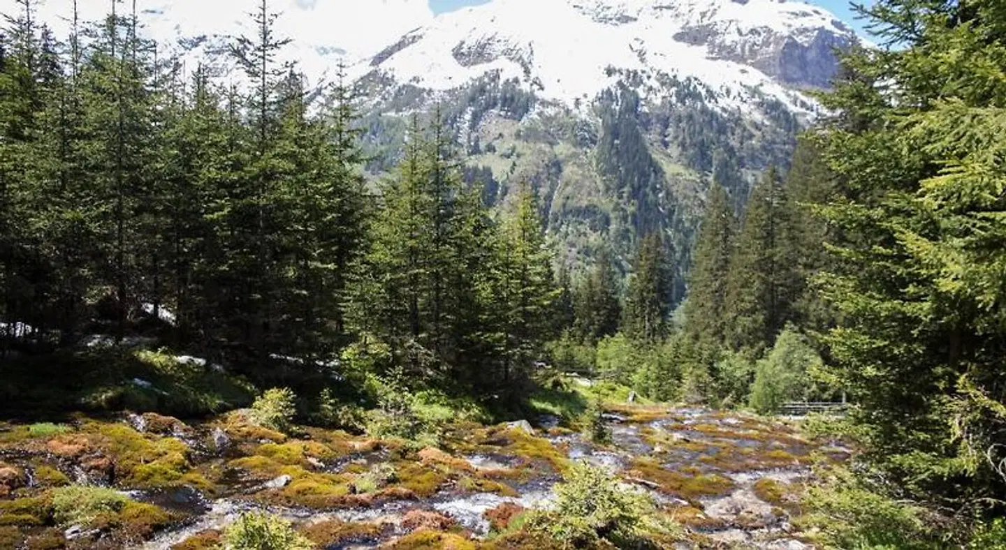 Gasthof Andrelwirt LANDSCAPE
