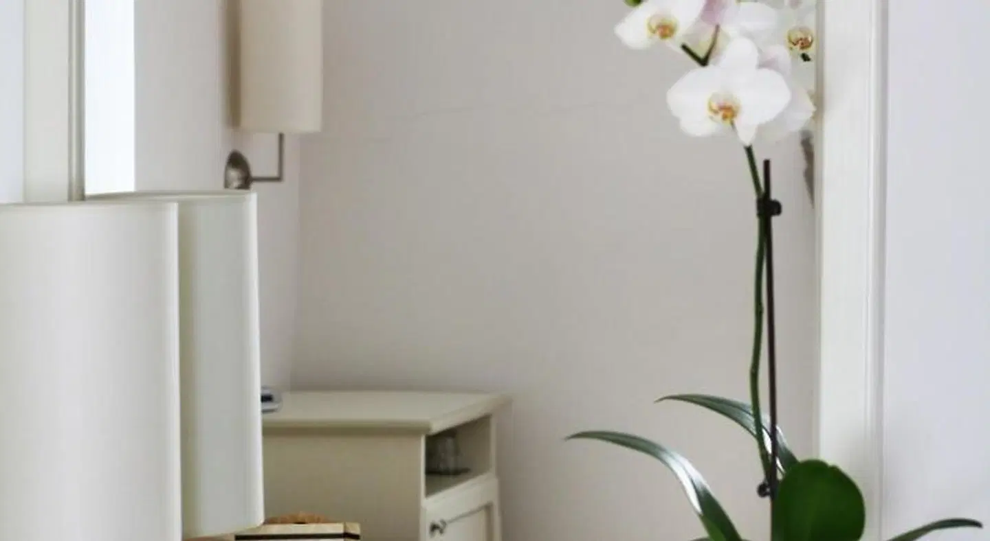 Alla Corte Del Picchio Room & Breakfast Badezimmer