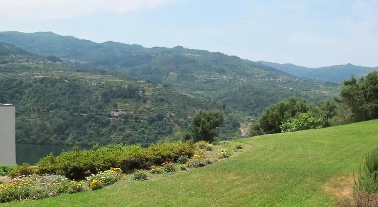 Douro Palace Hotel Resort & SPA Landschaft