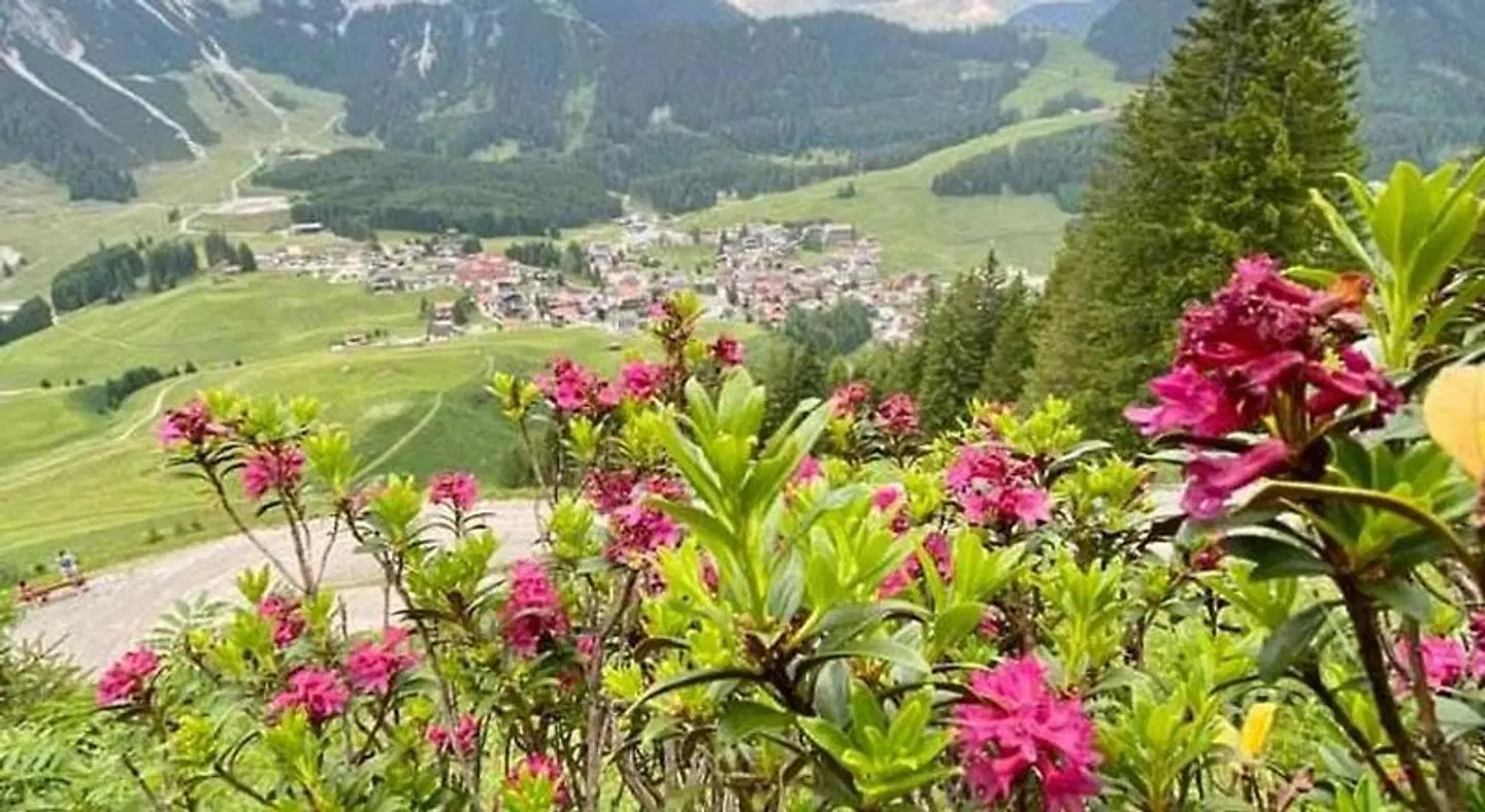 Bergland LANDSCAPE