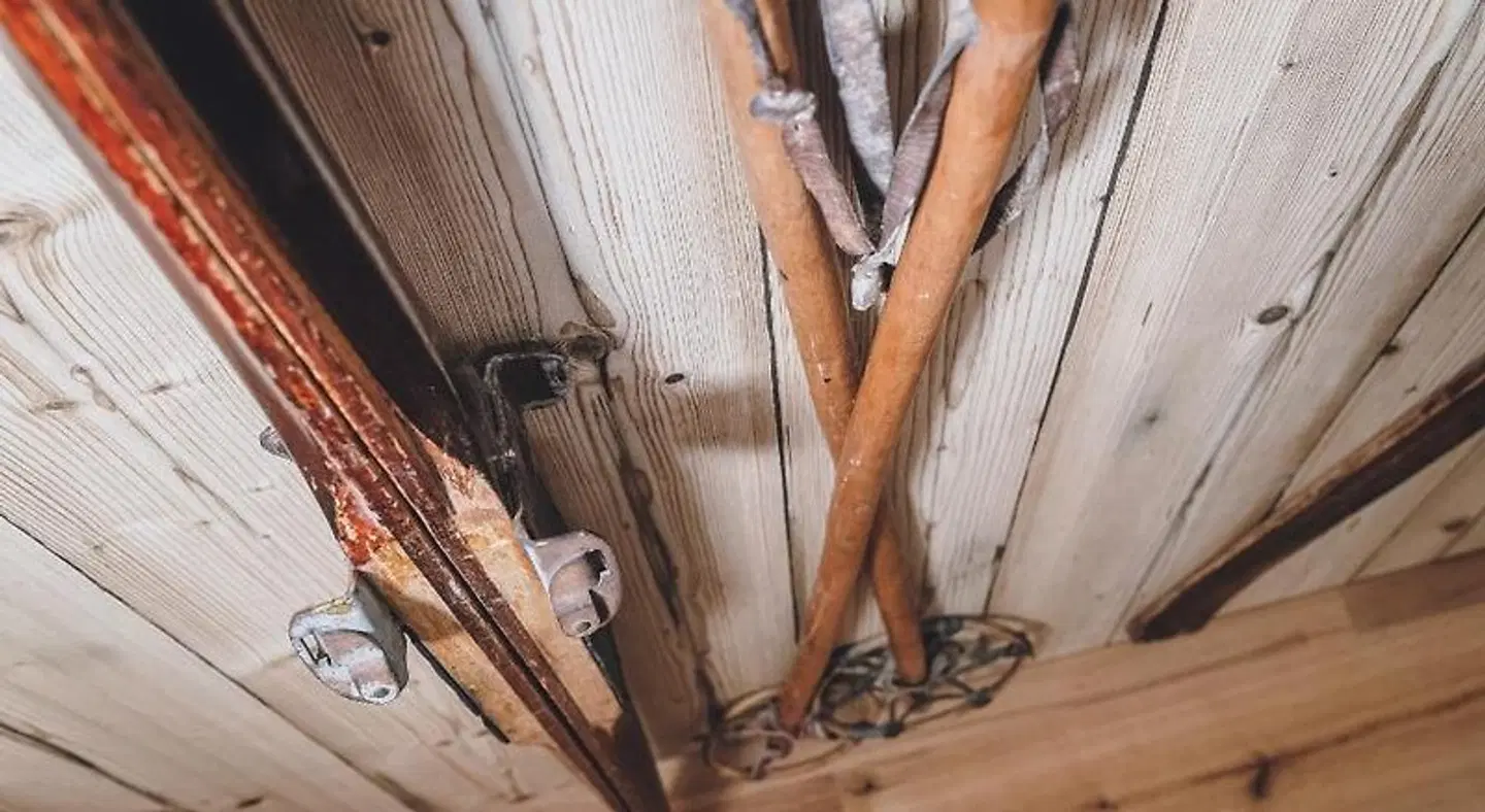 Hotel Barbarahof Tiere