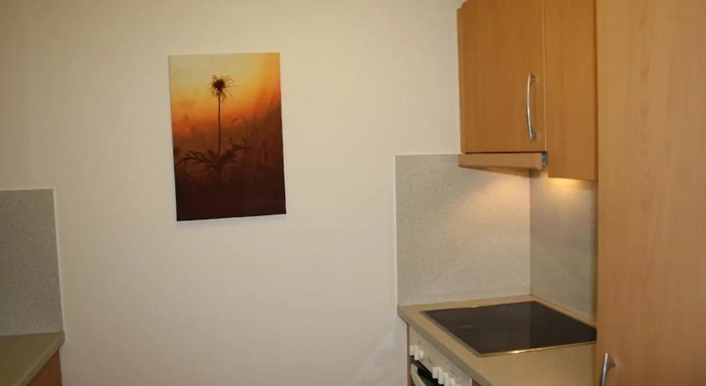 Walliser ROOM_EXAMPLE