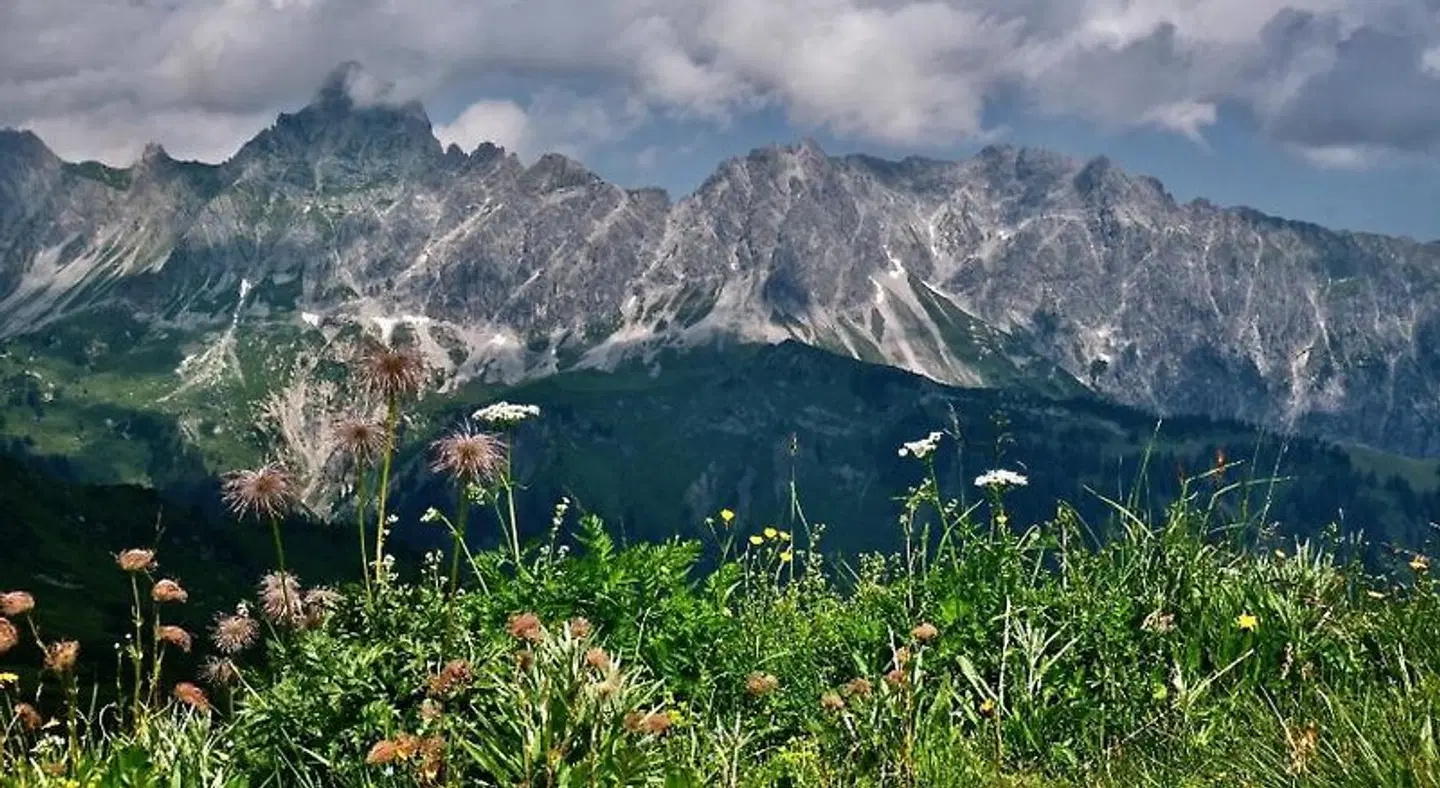 Appart Laijola LANDSCAPE