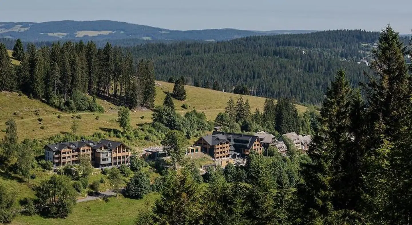Black Forest Lodge LANDSCAPE