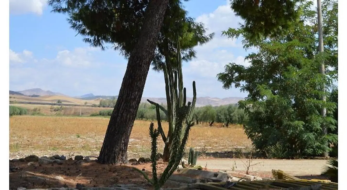 B&B Stazione Dittaino LANDSCAPE
