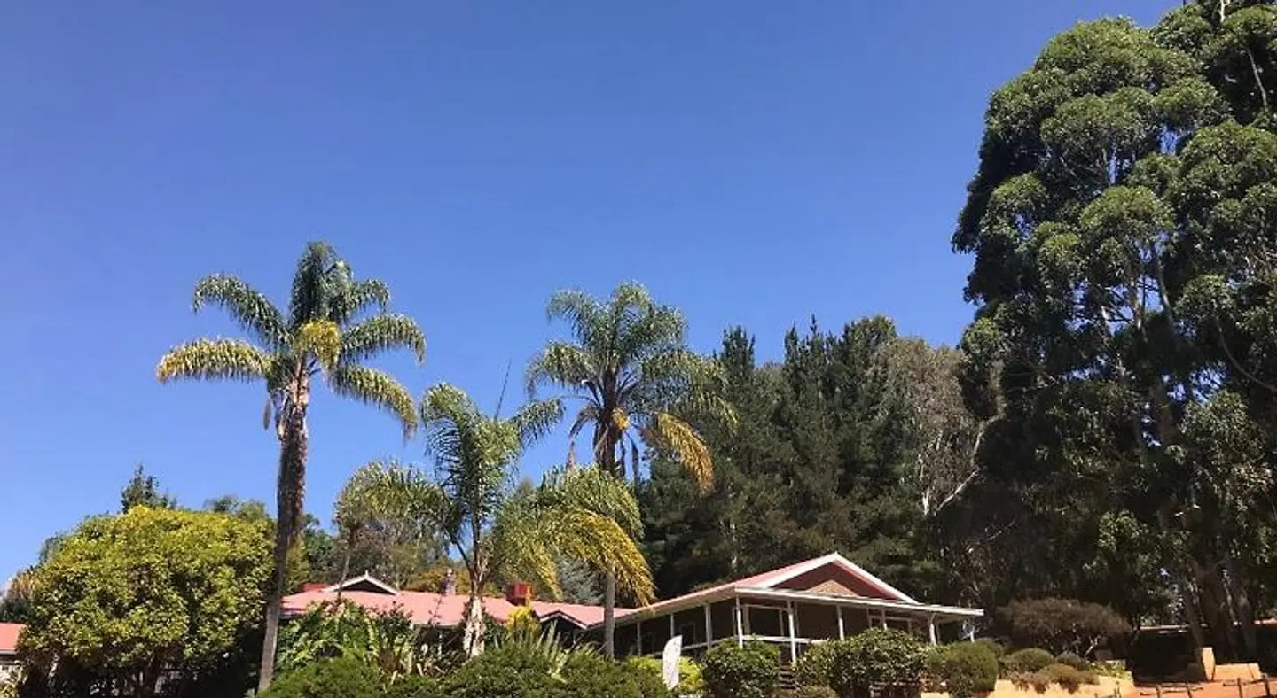 Forest Lodge Resort Garten