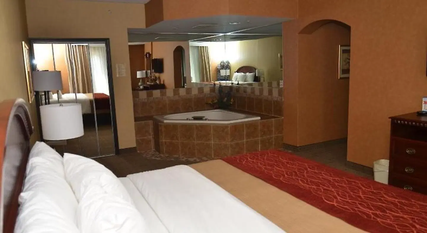 Comfort Inn Near Walden Galleria Mall- Cheektowaga LOUNGE_LOBBY