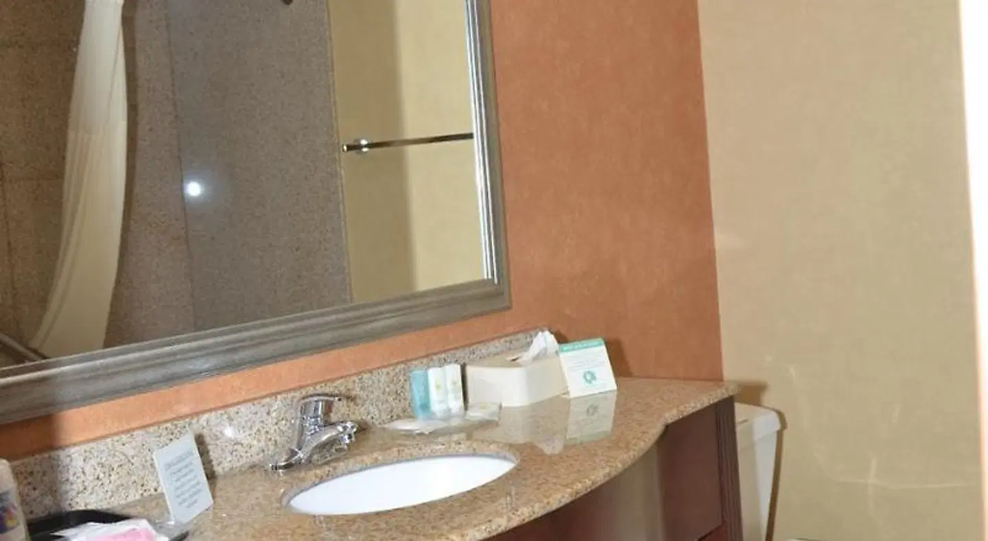 Comfort Inn Near Walden Galleria Mall- Cheektowaga Badezimmer