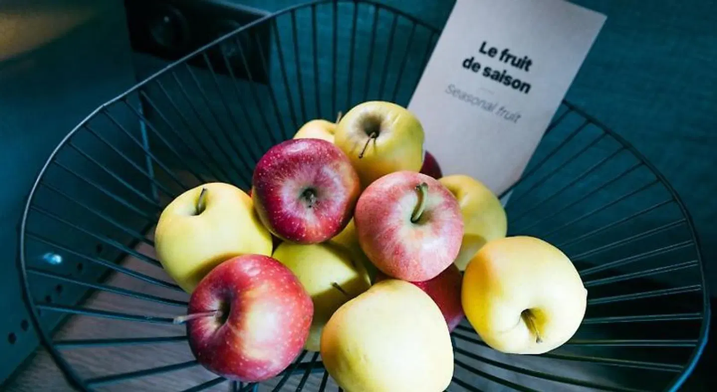 ibis Saint-Malo Plage Tiere